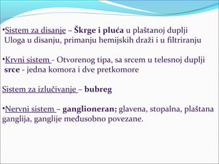 •Sistem za disanje – Škrge i pluća u plaštanoj duplji
Uloga u disanju, primanju hemijskih draži i u filtriranju
•Krvni sistem - Otvorenog tipa, sa srcem u telesnoj duplji
srce - jedna komora i dve pretkomore
Sistem za izlučivanje – bubreg
•Nervni sistem – ganglioneran; glavena, stopalna, plaštana
ganglija, ganglije međusobno povezane.
 