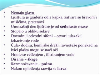 • Nemaju glavu
• Ljuštura je građena od 2 kapka, zatvara se bravom i
mišićima, prstenovi
• Unutrašnji deo ljušture je od sedefaste mase
• Stopalo u obliku sekire
• Dovodni i odvodni sifoni – otvori ulazak i
izbacivanje vode
• Čula- dodira, hemijske draži, ravnoteže ponekad na
ivici plašta mogu se naći oči
• Hrane se ceđenjem , filtriranjem vode
• Disanje – škrge
• Razmnožavanje – polno.
• Nakon oplođenja razvija se larva
 