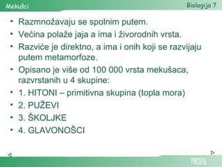 Mekušci                                          Biologija 7

 • Razmnožavaju se spolnim putem.
 • Većina polaže jaja a ima i živorodnih vrsta.
 • Razviće je direktno, a ima i onih koji se razvijaju
   putem metamorfoze.
 • Opisano je više od 100 000 vrsta mekušaca,
   razvrstanih u 4 skupine:
 • 1. HITONI – primitivna skupina (topla mora)
 • 2. PUŽEVI
 • 3. ŠKOLJKE
 • 4. GLAVONOŠCI
 