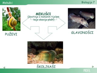 Mekušci                                      Biologija 7



                 MEKUŠCI
          (životinje s mekanim tijelom
               koje obavija plašt)




                                         GLAVONOŠCI
 PUŽEVI




                 ŠKOLJKAŠI
 