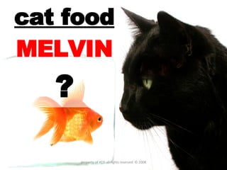 cat food   MELVIN ? property of YCIS all rights reserved  © 2008 