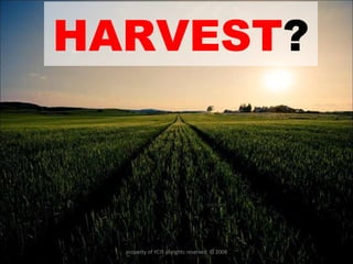 HARVEST ? property of YCIS all rights reserved  © 2008 