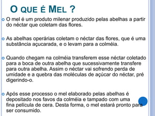 O QUE É MEL ? 
 O mel é um produto milenar produzido pelas abelhas a partir 
do néctar que coletam das flores. 
 As abelhas operárias coletam o néctar das flores, que é uma 
substância açucarada, e o levam para a colméia. 
 Quando chegam na colméia transferem esse néctar coletado 
para a boca de outra abelha que sucessivamente transfere 
para outra abelha. Assim o néctar vai sofrendo perda de 
umidade e a quebra das moléculas de açúcar do néctar, pré 
digerindo-o. 
 Após esse processo o mel elaborado pelas abelhas é 
depositado nos favos da colméia e tampado com uma 
fina película de cera. Desta forma, o mel estará pronto para 
ser consumido. 
 