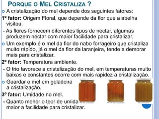 PORQUE O MEL CRISTALIZA ? 
 A cristalização do mel depende dos seguintes fatores: 
1º fator: Origem Floral, que depende da flor que a abelha 
visitou. 
- As flores fornecem diferentes tipos de néctar, algumas 
produzem néctar com maior facilidade para cristalizar. 
 Um exemplo é o mel da flor do nabo forrageiro que cristaliza 
muito rápido, já o mel da flor da laranjeira, tende a demorar 
mais para cristalizar. 
2º fator: Temperatura ambiente. 
- O frio favorece a cristalização do mel, em temperaturas muito 
baixas e constantes ocorre com mais rapidez a cristalização. 
 Guardar o mel em geladeira acelera 
a cristalização. 
3º fator: Umidade no mel. 
- Quanto menor o teor de umidade no mel 
maior a facilidade para cristalizar. 
 
