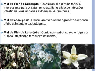  Mel de Flor de Eucalipto: Possui um sabor mais forte. É 
interessante para o tratamento auxiliar e alivio de infecções 
intestinais, vias urinárias e doenças respiratórias. 
 Mel de assa-peixe: Possui aroma e sabor agradáveis e possui 
efeito calmante e expectorante. 
 Mel de Flor de Laranjeira: Conta com sabor suave e regula a 
função intestinal e tem efeito calmante. 
 