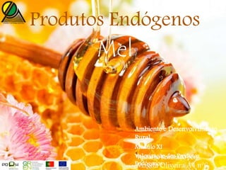 Produtos Endógenos
Mel
Ambiente e Desenvolvimento
Rural
Módulo XI
Valorização dos Produtos
Endógenos
Trabalho Realizado por:
Magda Oliveira A4 nº6
 