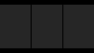 Melaleuca Presentation