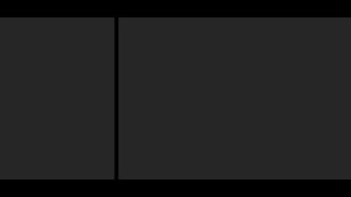 Melaleuca Presentation