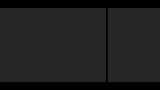Melaleuca Presentation