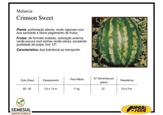 Melancia Crimson Sweet