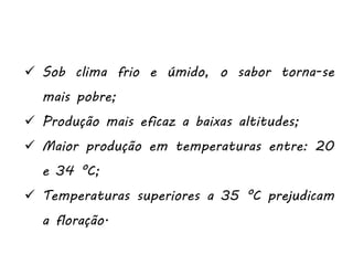  Sob clima frio e úmido, o sabor torna-se
mais pobre;
 Produção mais eficaz a baixas altitudes;
 Maior produção em temperaturas entre: 20
e 34 °C;
 Temperaturas superiores a 35 °C prejudicam
a floração.
 