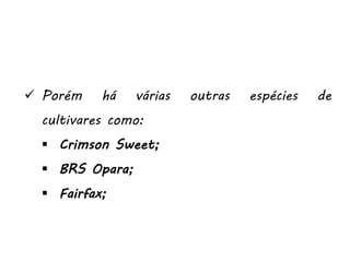  Porém há várias outras espécies de
cultivares como:
 Crimson Sweet;
 BRS Opara;
 Fairfax;
 