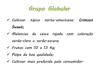  Cultivar típica norte-americana: Crimson
Sweet;
 Melancias de casca rajada com coloração
verde-clara e verde-escura;
 Frutos com 10 a 13 Kg;
 Polpa de boa qualidade;
 Cultivar mais preferida pelo consumidor.
Grupo Globular
 