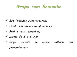  São Híbridos auto-estéreis;
 Produzem melancias globulares;
 Frutos sem sementes;
 Massa de 5 a 8 Kg;
 Exige plantio de outra cultivar nas
proximidades.
Grupo sem Semente
 