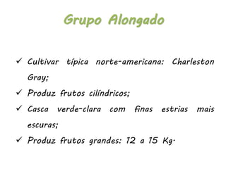  Cultivar típica norte-americana: Charleston
Gray;
 Produz frutos cilíndricos;
 Casca verde-clara com finas estrias mais
escuras;
 Produz frutos grandes: 12 a 15 Kg.
Grupo Alongado
 