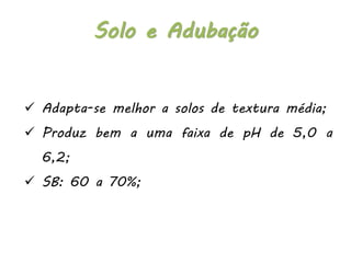  Adapta-se melhor a solos de textura média;
 Produz bem a uma faixa de pH de 5,0 a
6,2;
 SB: 60 a 70%;
Solo e Adubação
 