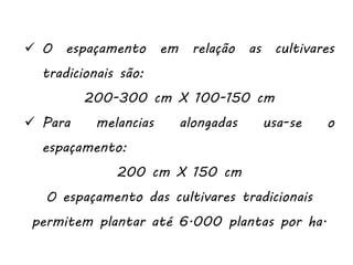  O espaçamento em relação as cultivares
tradicionais são:
200-300 cm X 100-150 cm
 Para melancias alongadas usa-se o
espaçamento:
200 cm X 150 cm
O espaçamento das cultivares tradicionais
permitem plantar até 6.000 plantas por ha.
 