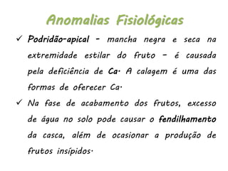  Podridão-apical - mancha negra e seca na
extremidade estilar do fruto – é causada
pela deficiência de Ca. A calagem é uma das
formas de oferecer Ca.
 Na fase de acabamento dos frutos, excesso
de água no solo pode causar o fendilhamento
da casca, além de ocasionar a produção de
frutos insípidos.
Anomalias Fisiológicas
 