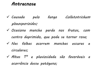 Antracnose
 Causada pelo fungo Colletotrichum
gloeosporioides;
 Ocasiona mancha parda nos frutos, com
centro deprimido, que pode se tornar rosa;
 Nas folhas ocorrem manchas escuras e
circulares;
 Altas T° e pluviosidade são favoráveis a
ocorrência desse patógeno;
 