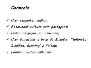 Controle
 Usar sementes sadias;
 Rotacionar cultura com pastagens;
 Evitar irrigação por aspersão;
 Usar fungicidas a base de Enxofre, Tiofanato
Metilico, Benomyl e Foltep;
 Eliminar restos culturais.
 