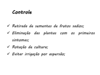 Controle
 Retirada de sementes de frutos sadios;
 Eliminação das plantas com os primeiros
sintomas;
 Rotação de cultura;
 Evitar irrigação por aspersão;
 
