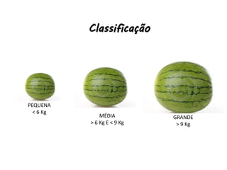 Classificação
PEQUENA
< 6 Kg
MÉDIA
> 6 Kg E < 9 Kg
GRANDE
> 9 Kg
 