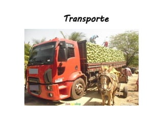 Transporte
 