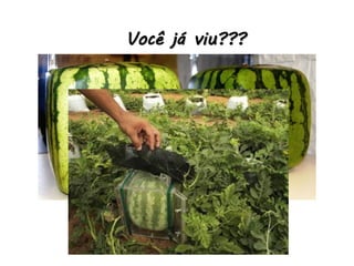 Você já viu???
 