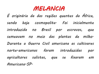 MELANCIA
É originária da das regiões quentes da África,
sendo hoje cosmopolita. Foi inicialmente
introduzida no Brasil por escravos, que
semeavam no meio das plantas de milho.
Durante a Guerra Civil americana as cultivares
norte-americanas foram introduzidas por
agricultores sulistas, que se fixaram em
Americana-SP.
 
