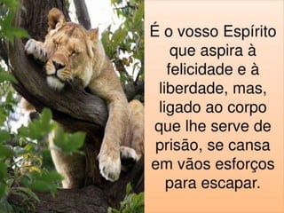 Conversando o Evangelho - Melancolia