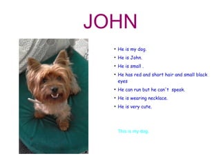 JOHN
●
He is my dog.
●
He is John.
●
He is small .
●
He has red and short hair and small black
eyes
●
He can run but he can't speak.
●
He is wearing necklace.
●
He is very cute.
This is my dog.
 