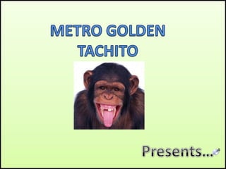 METRO GOLDEN TACHITO Presents… 