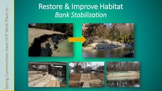 Spring Communities Have HCP Work Plans to . . . 
Restore & Improve Habitat 
Bank Stabilization 
 