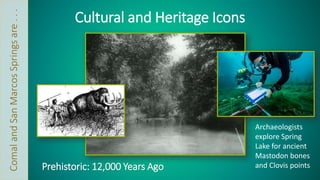 Prehistoric: 12,000 Years Ago 
Archaeologists 
explore Spring 
Lake for ancient 
Mastodon bones 
and Clovis points 
Cultural and Heritage Icons 
Comal and San Marcos Springs are . . . 
 