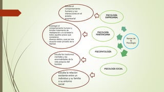 Estudia los trastornos
mentales y las
anormalidades de la
vida psíquica del
hombre
Investigan el
comportamiento humano y
brindan tratamiento de
readaptación a la sociedad a
todos aquellos presos que
cometieron
diversos delitos y que por esa
situación están privados de la
libertad.
Estudia el
comportamiento
humano y sus
interacciones en el
ámbito
empresarial
Estudia la relación
existente entre un
individuo y su familia
o su entorno
social
Ramas de
la
Psicología
PSICOLOGÍA SOCIAL
PSICOPATOLOGÍA
PSICOLOGÍA
PENITENCIARIA
PSICOLOGÍA
EMPRESARIAL
 
