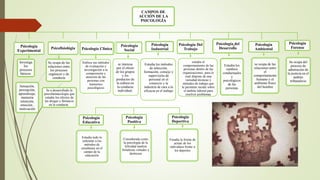 CAMPOS DE
ACCIÓN DE LA
PSICOLOGÍA
Psicología
Experimental
Investiga
los
procesos
básicos:
Psicofisiológia
Se ocupa de las
relaciones entre
los procesos
orgánicos y de
conducta
Psicología Clínica
Enfoca sus métodos
de evaluación e
investigación a la
comprensión y
atención de las
personas con
trastornos
psicológicos
Psicología
Social
se interesa
por el efecto
de los grupos
y los
productos de
la cultura en
la conducta
individual.
Psicología
Industrial
Estudia los métodos
de selección,
formación, consejo y
supervisión de
personal en el
comercio y la
industria de cara a la
eficacia en el trabajo
Psicología Del
Trabajo
estudia el
comportamiento de las
personas dentro de las
organizaciones, para lo
cual dispone de una
variedad técnicas y
métodos de trabajo que
le permiten incidir sobre
el ámbito laboral para
resolver problemas
Sensación,
percepción,
aprendizaje,
memoria
retención,
emoción ,
motivación
Se a desarrollado la
psicofarmacología que
estudia los efectos de
las drogas y fármacos
en la conducta .
Psicología del
Desarrollo
Estudia los
cambios
conductuales
y
psicológicos
de las
personas
Psicología
Ambiental
se ocupa de las
relaciones entre
el
comportamiento
humano y el
ambiente físico
del hombre
Psicología
Forense
Se ocupa del
proceso de
admiración de
la justicia en el
ámbito
tribunalicio
Psicología
Positiva
Considerada como
la psicología de la
felicidad analiza
fortalezas virtudes y
destrezas
Psicología
Deportiva
Psicología
Educativa
Estudia la forma de
actuar de los
individuos frente a
los deportes
Estudia todo lo
referente a los
métodos de
enseñanza en el
campo de la
educación
 