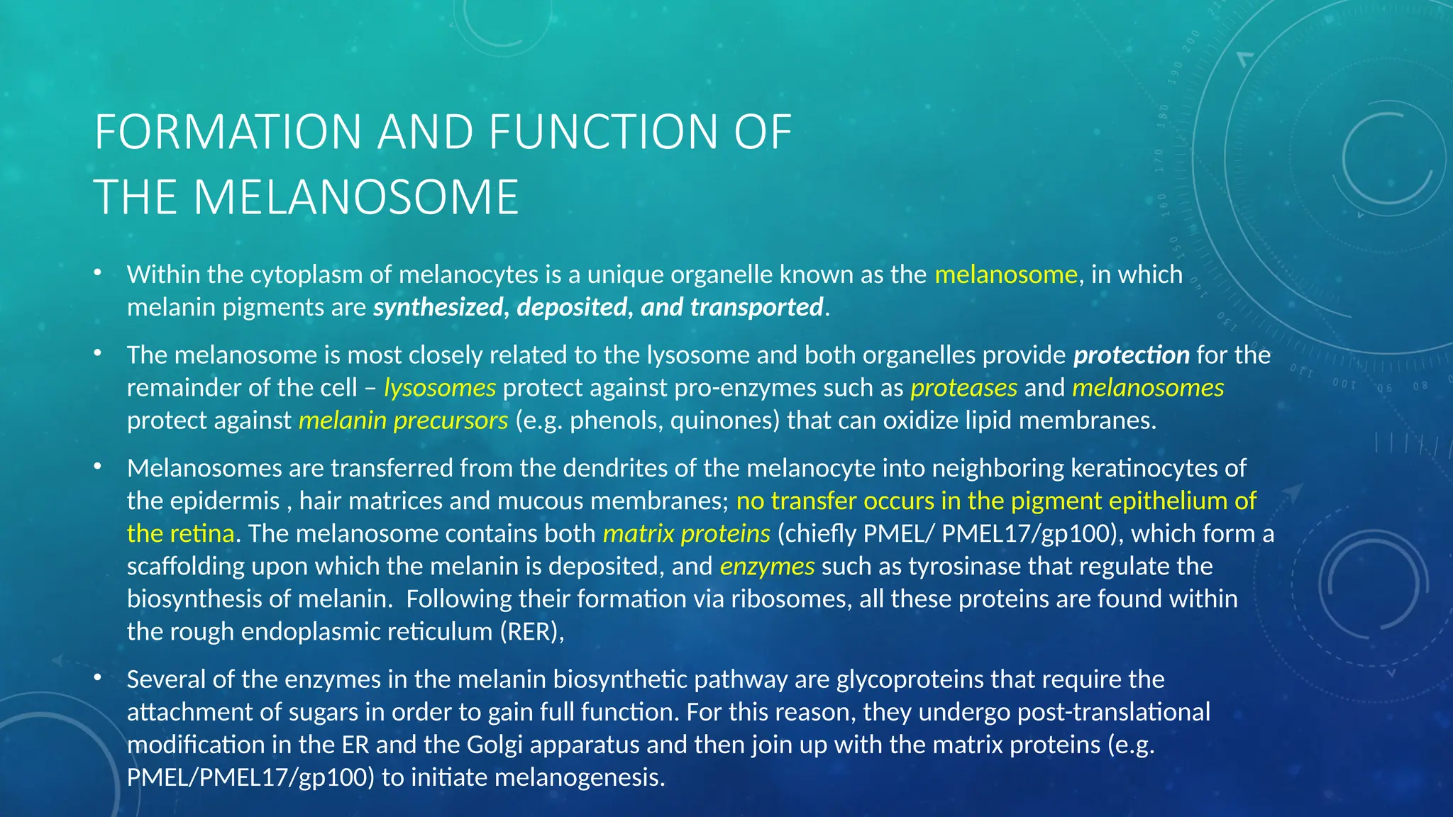 basic sign for Melanocyte Biology in dermatology.pptx