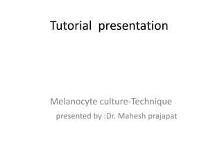 Tutorial presentation

Melanocyte culture-Technique
presented by :Dr. Mahesh prajapat

 