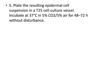 • 5. Plate the resulting epidermal cell
suspension in a T25 cell-culture vessel.
Incubate at 37°C in 5% CO2/5% air for 48–72 h
without disturbance.

 