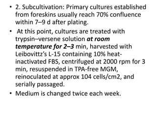 • 2. Subcultivation: Primary cultures established
from foreskins usually reach 70% confluence
within 7–9 d after plating.
• At this point, cultures are treated with
trypsin–versene solution at room
temperature for 2–3 min, harvested with
Leibovittz’s L-15 containing 10% heatinactivated FBS, centrifuged at 2000 rpm for 3
min, resuspended in TPA-free MGM,
reinoculated at approx 104 cells/cm2, and
serially passaged.
• Medium is changed twice each week.

 