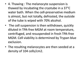 • 4. Thawing : The melanocyte suspension is
thawed by incubating the cryotube in a 37°C
water bath. When the cell-preservative medium
is almost, but not totally, defrosted, the outside
of the tube is wiped with 70% alcohol.
• The cell suspension is then withdrawn, quickly
diluted in TPA-free MGM at room temperature,
centrifuged, and resuspended in fresh TPA-free
MGM. Cell viability is determined by Trypan blue
exclusion.
• The resulting melanocytes are then seeded at a
density of 104 cells/cm2.

 