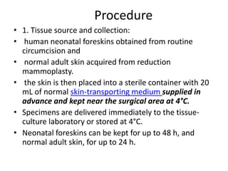 Procedure
• 1. Tissue source and collection:
• human neonatal foreskins obtained from routine
circumcision and
• normal adult skin acquired from reduction
mammoplasty.
• the skin is then placed into a sterile container with 20
mL of normal skin-transporting medium supplied in
advance and kept near the surgical area at 4°C.
• Specimens are delivered immediately to the tissueculture laboratory or stored at 4°C.
• Neonatal foreskins can be kept for up to 48 h, and
normal adult skin, for up to 24 h.

 
