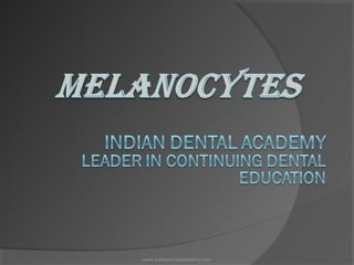 www.indiandentalacademy.com
 