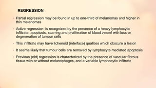 REGRESSION
• Partial regression may be found in up to one-third of melanomas and higher in
thin melanomas
• Active regression is recognized by the presence of a heavy lymphocytic
infiltrate, apoptosis, scarring and proliferation of blood vessel with loss or
degeneration of tumour cells
• This infiltrate may have lichenoid (interface) qualities which obscure a lesion
• It seems likely that tumour cells are removed by lymphocyte mediated apoptosis
• Previous (old) regression is characterized by the presence of vascular fibrous
tissue with or without melanophages, and a variable lymphocytic infiltrate
 