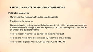 SPECIAL VARIANTS OF MALIGNANT MELANOMA
Follicular melanoma
• Rare variant of melanoma found in elderly patients
• Predilection for the nose
• Characterized by a deep-seated follicular structure in which atypical melanocytes
extend downward along the follicular epithelium and permeate parts of the follicle
as well as the adjacent dermis
• Tumour mostly resembles a comedo or a pigmented cyst
• The lesions would have been missed by superficial shave biopsy
• Tumour cells express melan-A, S100 protein, and HMB-45
 