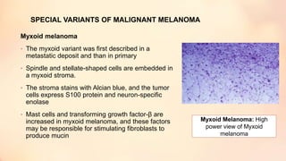 SPECIAL VARIANTS OF MALIGNANT MELANOMA
Myxoid melanoma
• The myxoid variant was first described in a
metastatic deposit and than in primary
• Spindle and stellate-shaped cells are embedded in
a myxoid stroma.
• The stroma stains with Alcian blue, and the tumor
cells express S100 protein and neuron-specific
enolase
• Mast cells and transforming growth factor-β are
increased in myxoid melanoma, and these factors
may be responsible for stimulating fibroblasts to
produce mucin
Myxoid Melanoma: High
power view of Myxoid
melanoma
 