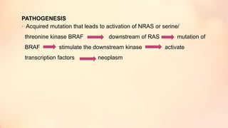 PATHOGENESIS
• Acquired mutation that leads to activation of NRAS or serine/
threonine kinase BRAF downstream of RAS mutation of
BRAF stimulate the downstream kinase activate
transcription factors neoplasm
 