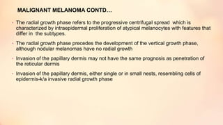 MALIGNANT MELANOMA CONTD…
• The radial growth phase refers to the progressive centrifugal spread which is
characterized by intraepidermal proliferation of atypical melanocytes with features that
differ in the subtypes.
• The radial growth phase precedes the development of the vertical growth phase,
although nodular melanomas have no radial growth
• Invasion of the papillary dermis may not have the same prognosis as penetration of
the reticular dermis
• Invasion of the papillary dermis, either single or in small nests, resembling cells of
epidermis-k/a invasive radial growth phase
 