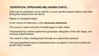 SUPERFICIAL SPREADING MELANOMA CONTD…
• Cells may be epithelioid, nevus cell-like, or even spindle-shaped without maturation
during their descent into the dermis
• Degree of cytological atypia
• A rare variant of melanoma, is the verrucous melanoma
• This occurs in back and limbs of middle-aged to older males
• Characterized by marked epidermal hyperplasia, elongation of the rete ridges, and
overlying hyperkeratosis
• This variant is often misdiagnosed clinically as a seborrheic keratosis
• The pseudoepitheliomatous hyperplasiandoes not appear to be due to epidermal
growth factor receptor
 