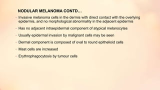 NODULAR MELANOMA CONTD…
• Invasive melanoma cells in the dermis with direct contact with the overlying
epidermis, and no morphological abnormality in the adjacent epidermis
• Has no adjacent intraepidermal component of atypical melanocytes
• Usually epidermal invasion by malignant cells may be seen
• Dermal component is composed of oval to round epithelioid cells
• Mast cells are increased
• Erythrophagocytosis by tumour cells
 